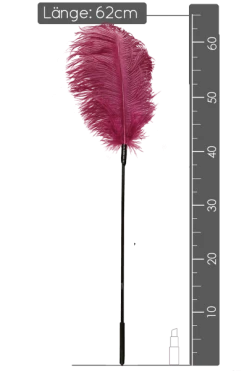 You2Toys Feder Tickler Mit Straußenfedern