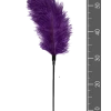 Easytoys Federkitzler In Violett -Lovetoys Verkaufsgeschäft ET254PUR Federkitzer lila 600x600